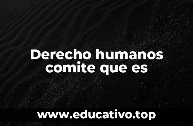 Derecho humanos comite que es