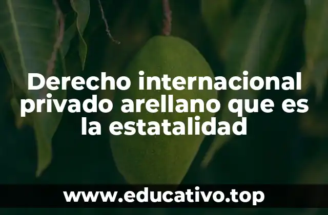 Derecho internacional privado arellano que es la estatalidad