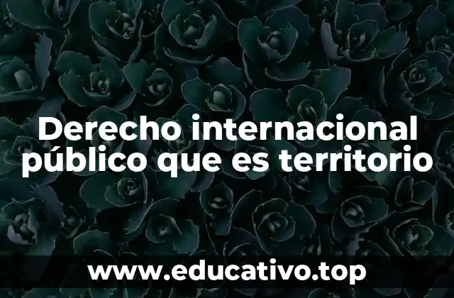 Derecho internacional público que es territorio