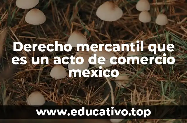 La importancia de los actos de comercio en el marco legal mexicano