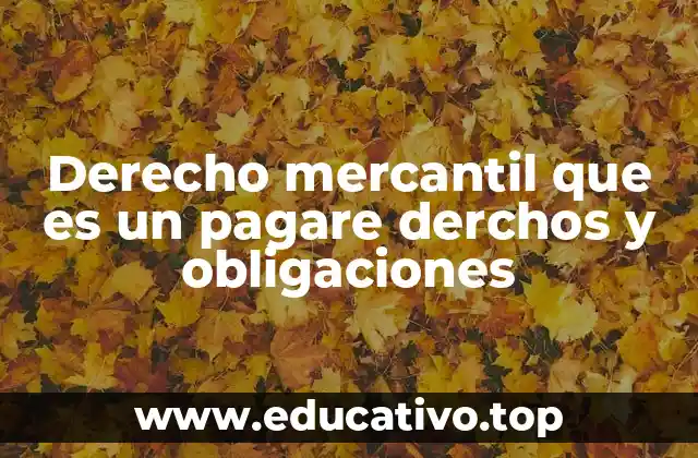 Derecho mercantil que es un pagare derchos y obligaciones