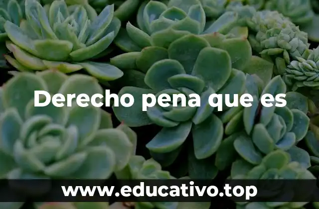 Derecho pena que es