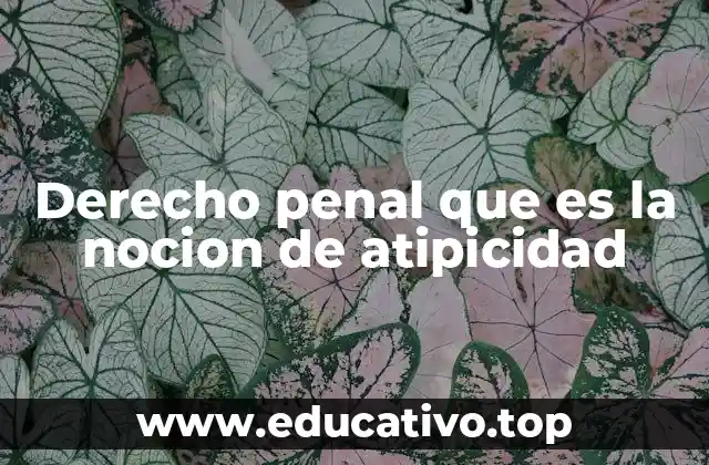 Derecho penal que es la nocion de atipicidad