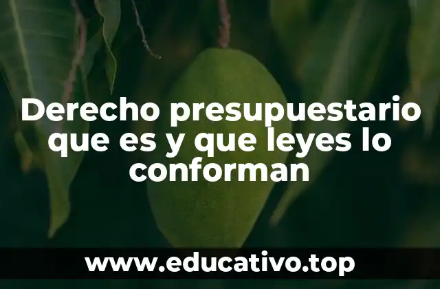 Derecho presupuestario que es y que leyes lo conforman