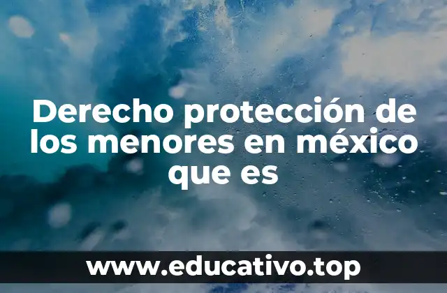 Derecho protección de los menores en méxico que es