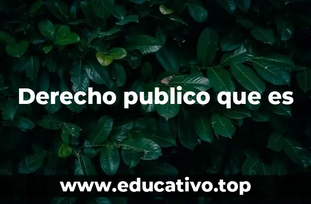 Derecho publico que es