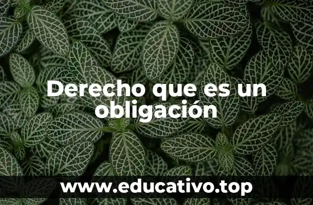Derecho que es un obligación