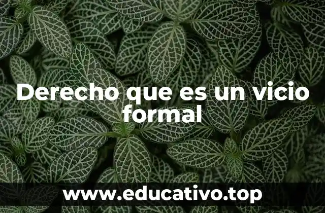 Derecho que es un vicio formal