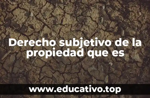 Derecho subjetivo de la propiedad que es