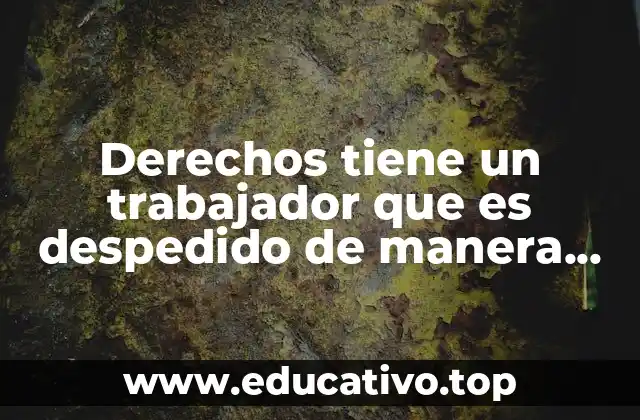 Derechos tiene un trabajador que es despedido de manera injustificada