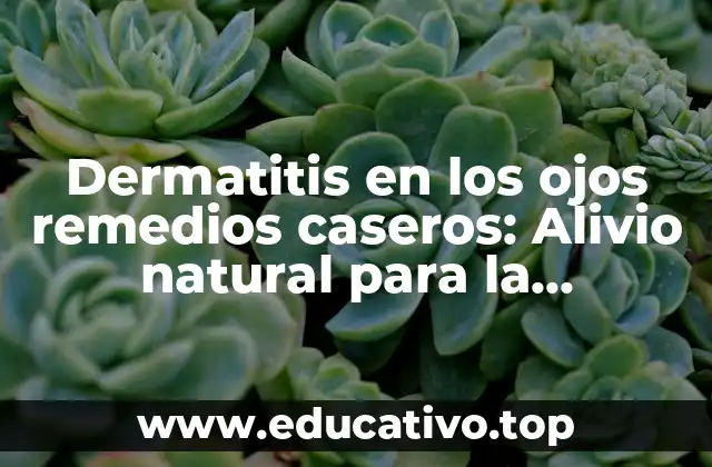 Dermatitis en los ojos remedios caseros: Alivio natural para la comodidad ocular
