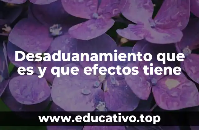 Desaduanamiento que es y que efectos tiene