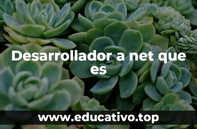 Desarrollador a net que es
