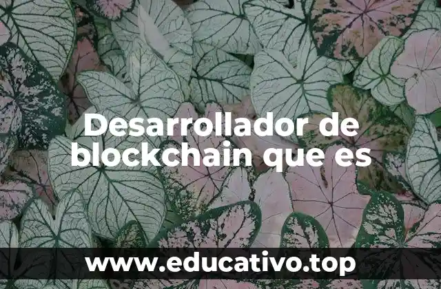 Desarrollador de blockchain que es