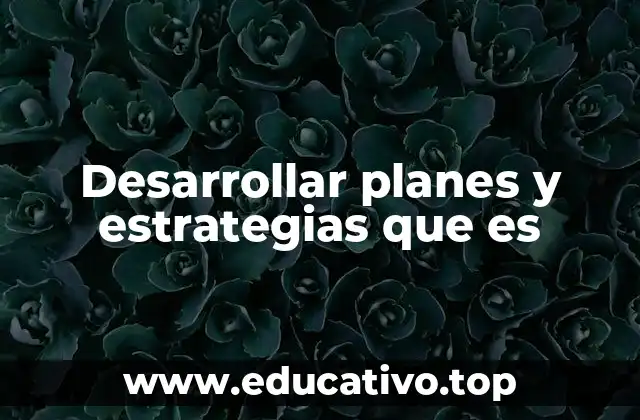 Desarrollar planes y estrategias que es