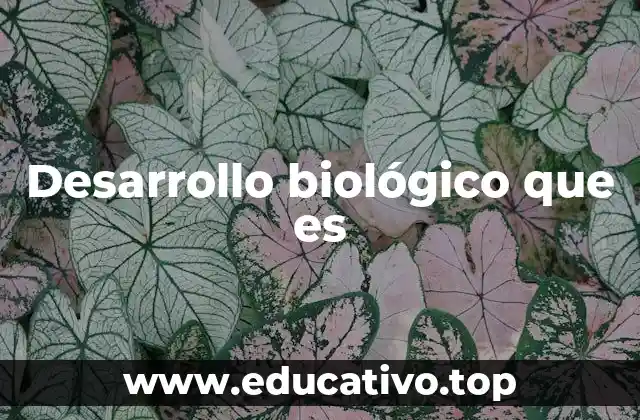 Desarrollo biológico que es