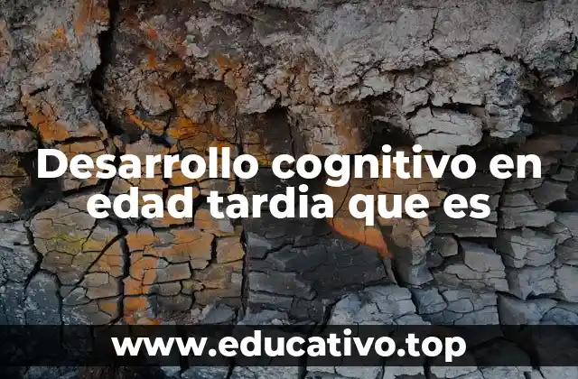 La evolución de la cognición a lo largo de la vejez