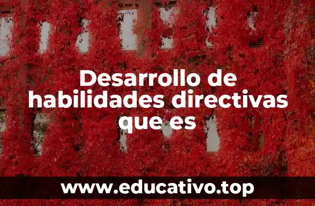 Desarrollo de habilidades directivas que es