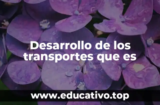 Desarrollo de los transportes que es