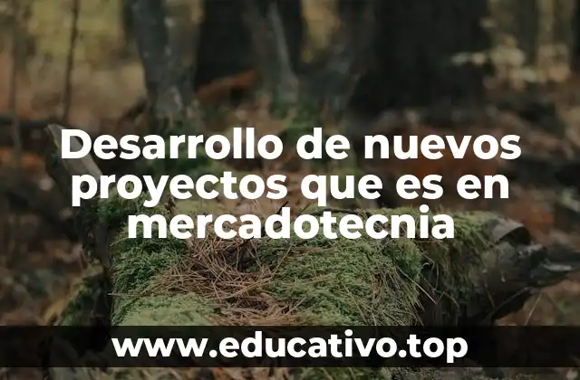 Desarrollo de nuevos proyectos que es en mercadotecnia