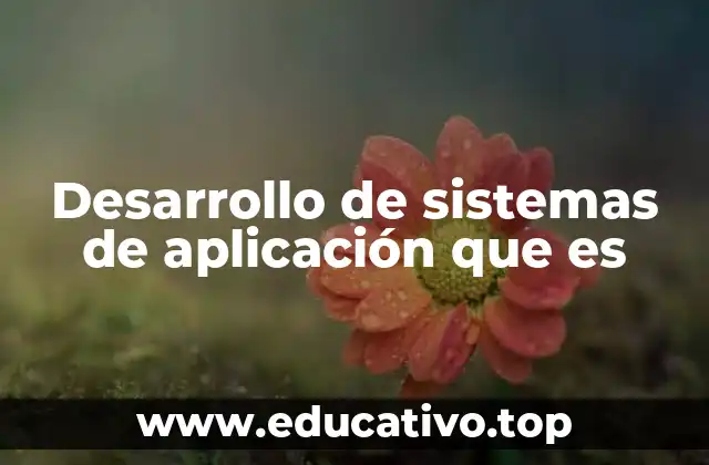 Desarrollo de sistemas de aplicación que es