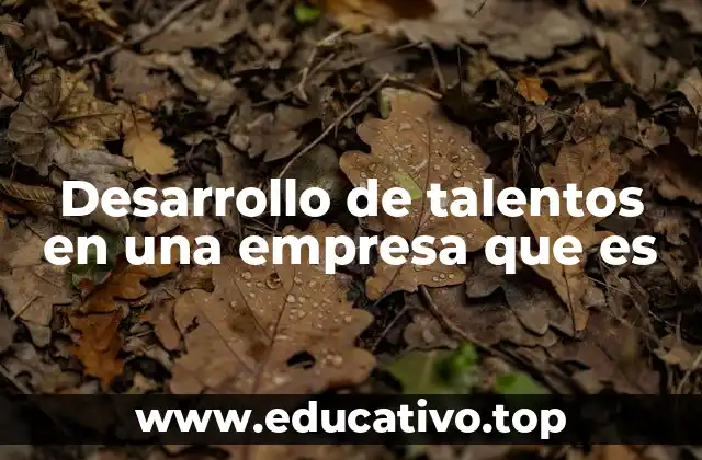Desarrollo de talentos en una empresa que es