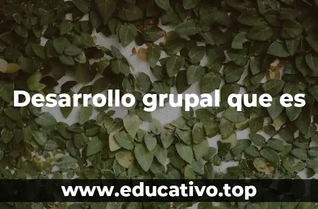 Desarrollo grupal que es