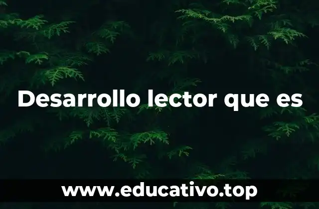 Desarrollo lector que es