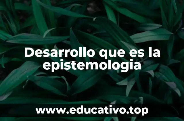 Desarrollo que es la epistemologia
