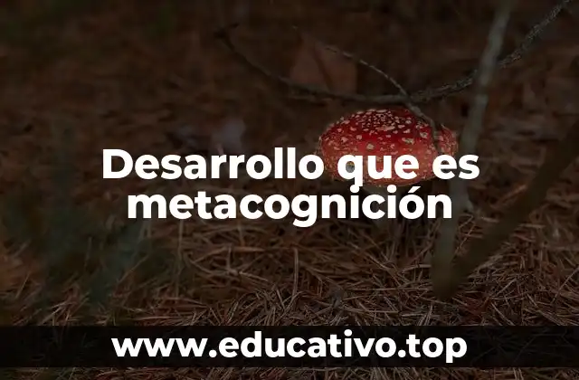 Cómo la metacognición influye en el aprendizaje