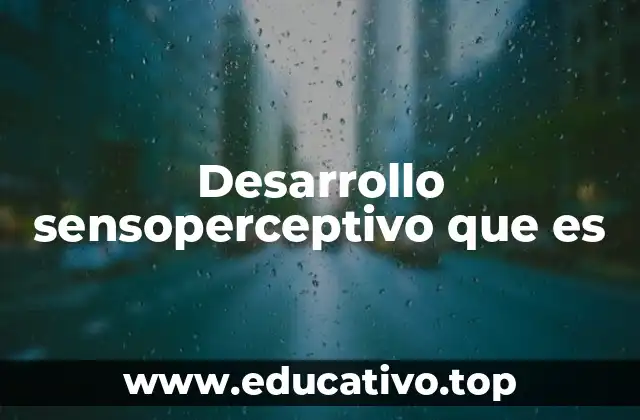 Cómo se manifiesta el desarrollo sensoperceptivo en la niñez