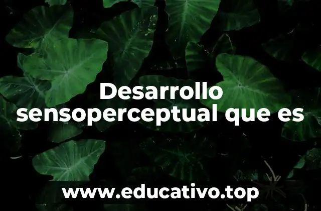 Desarrollo sensoperceptual que es