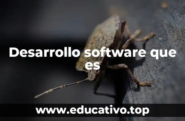 Cómo el desarrollo de software transforma la industria tecnológica