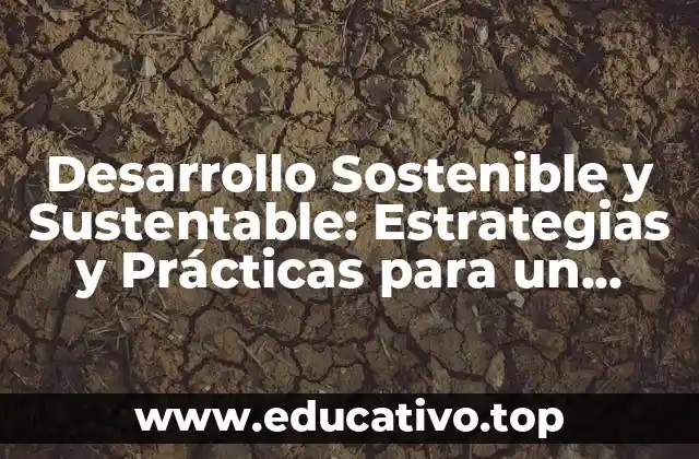 Desarrollo Sostenible y Sustentable: Estrategias y Prácticas para un Futuro Mejor