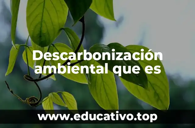 Descarbonización ambiental que es