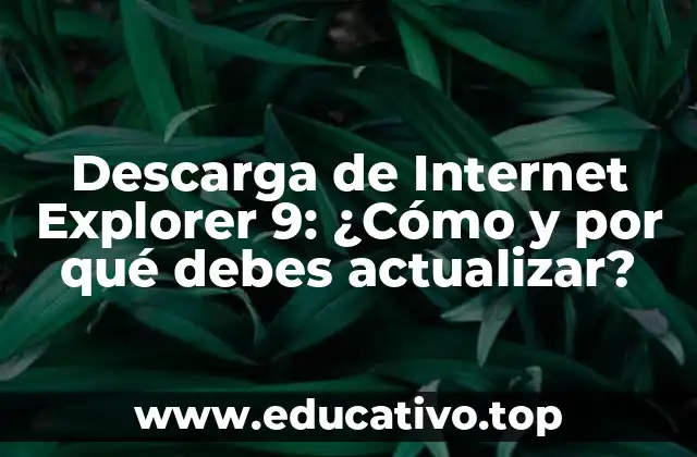 Descarga de Internet Explorer 9: ¿Cómo y por qué debes actualizar?