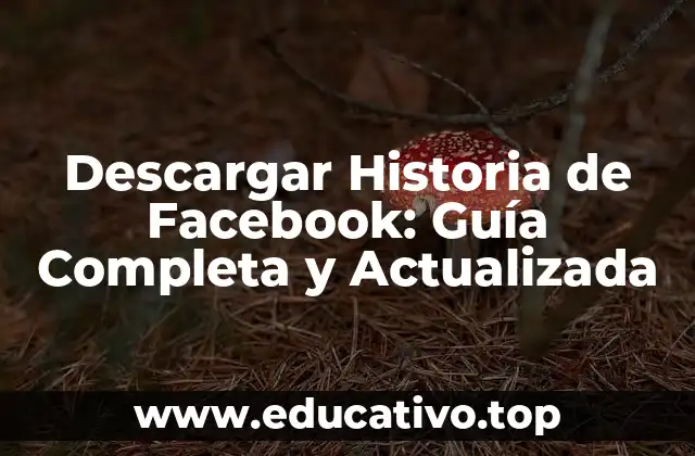 Descargar Historia de Facebook: Guía Completa y Actualizada