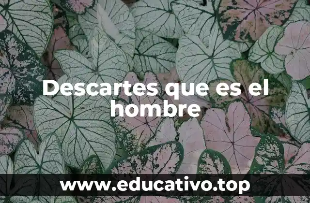 Descartes que es el hombre