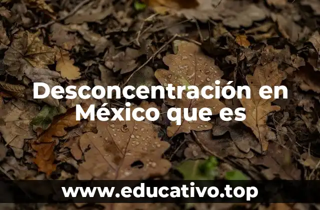 Desconcentración en México que es