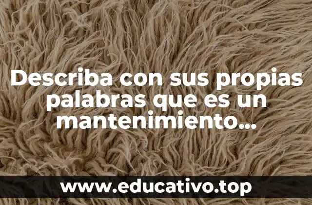 Describa con sus propias palabras que es un mantenimiento predictivo