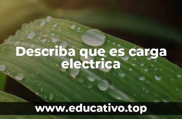 Describa que es carga electrica