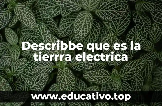 La importancia de la conexión eléctrica a tierra