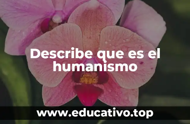 Describe que es el humanismo