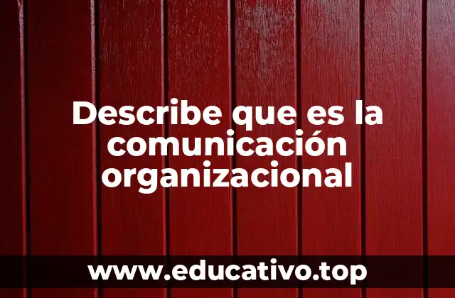 Describe que es la comunicación organizacional