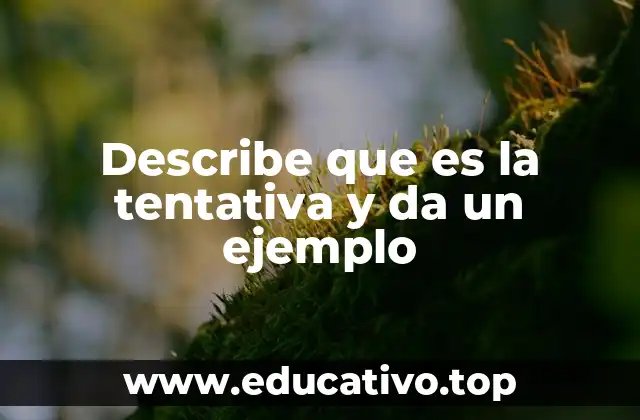 La importancia del intento en el desarrollo personal