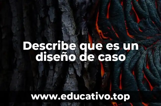 Describe que es un diseño de caso