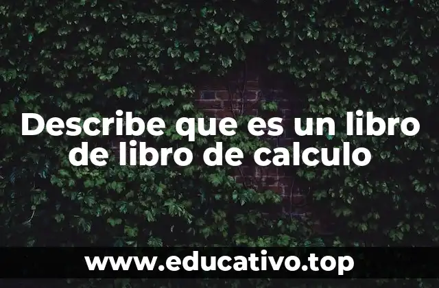 Describe que es un libro de libro de calculo