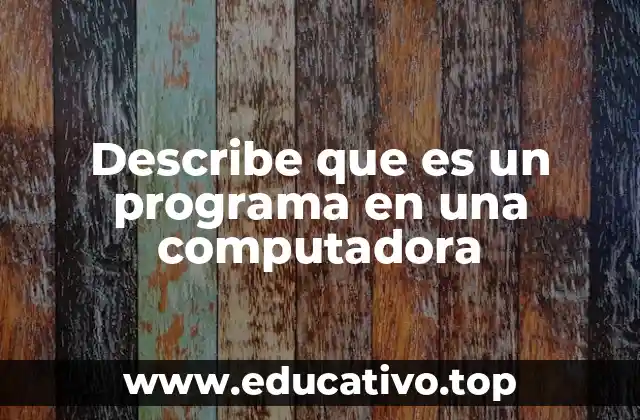 Describe que es un programa en una computadora