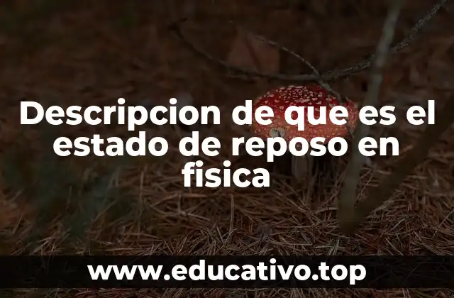 Descripcion de que es el estado de reposo en fisica
