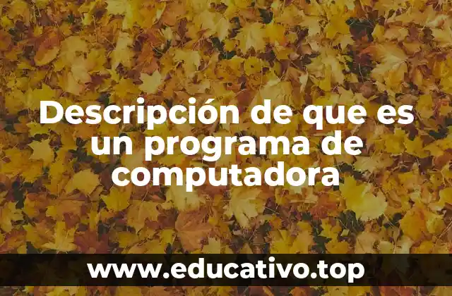 Descripción de que es un programa de computadora